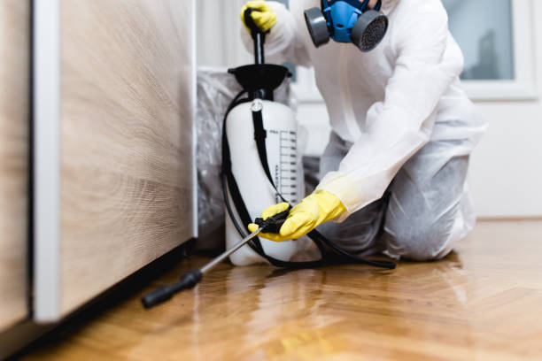  Pacheco, CA Pest Control Pros