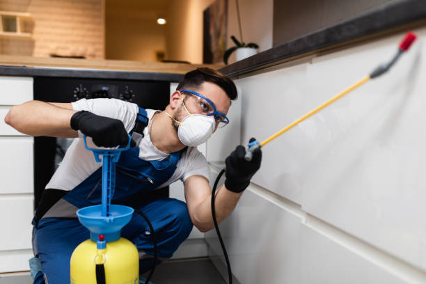 Pest Prevention Services in Pacheco, CA