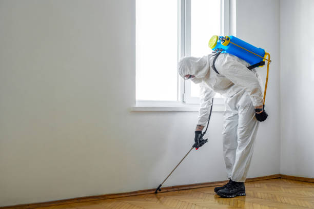 Best Exterminator Services  in Pacheco, CA
